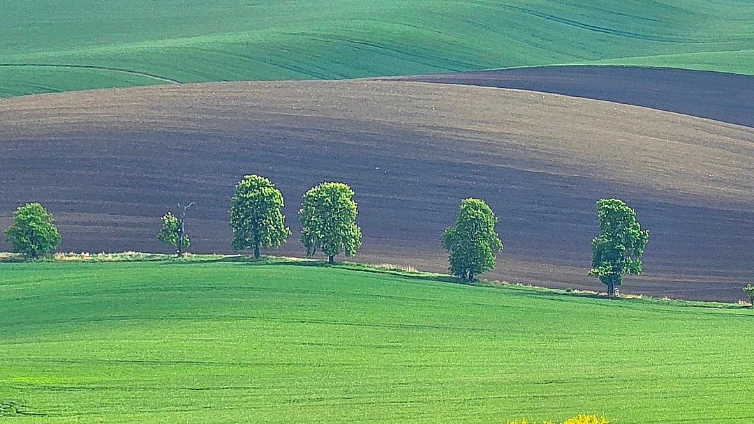 Brno, South Moravia, Czech_3