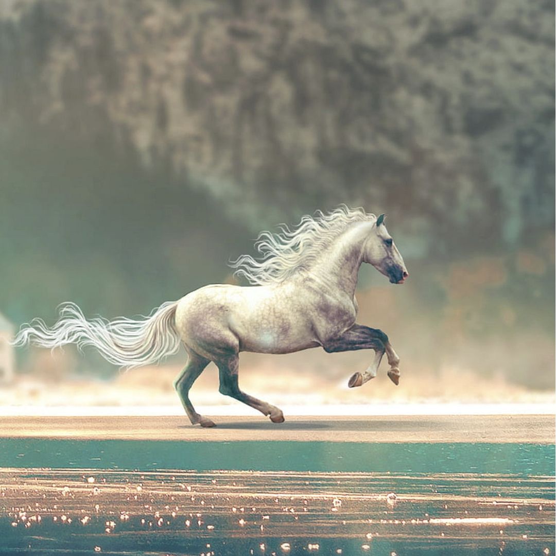 Running horse