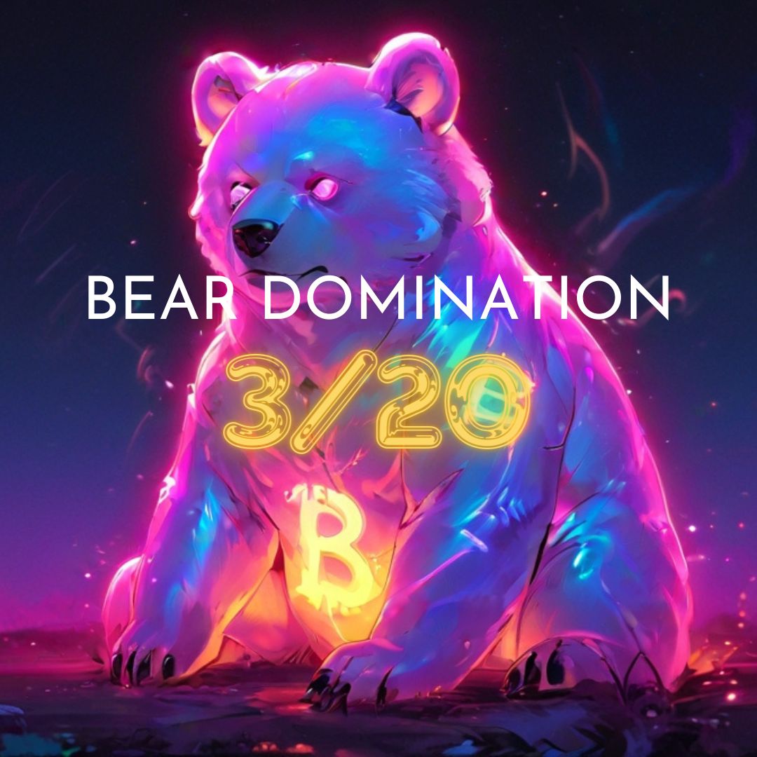 BEAR DOMINATION 3