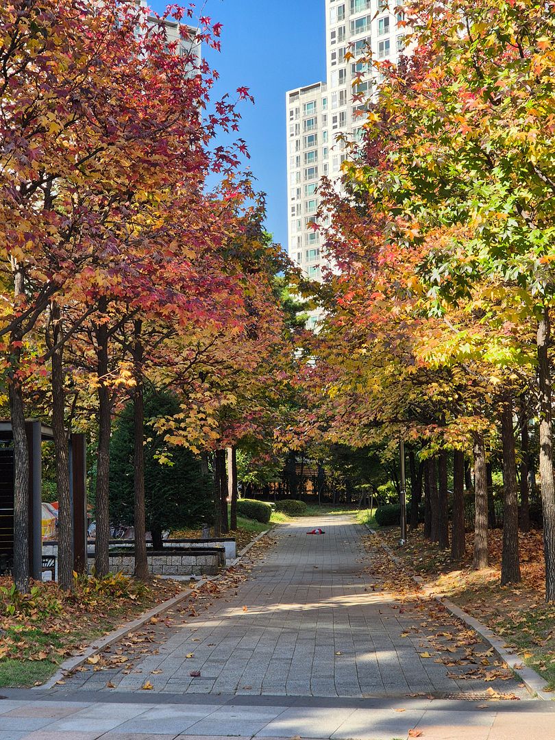 Autumn Street