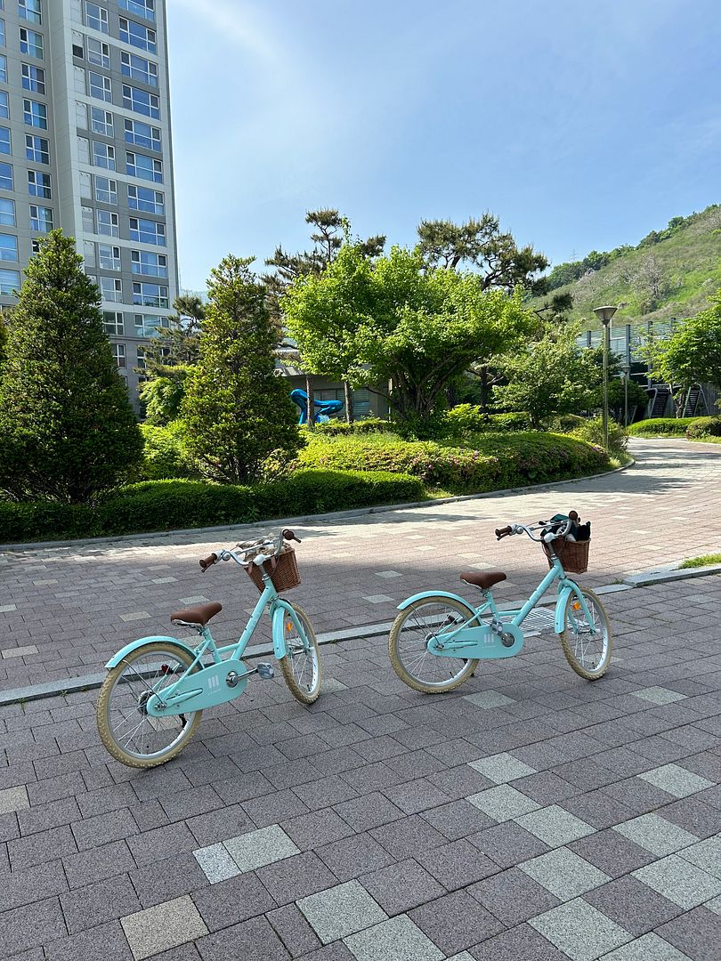 자전거배운날-240428