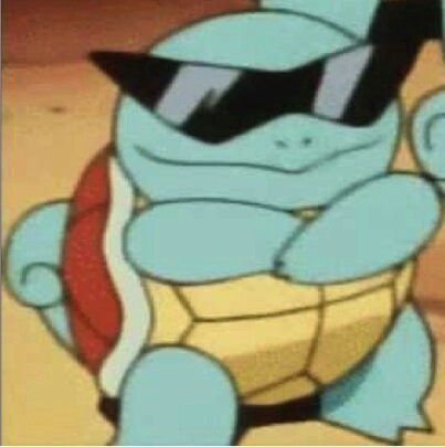 cool squirtle