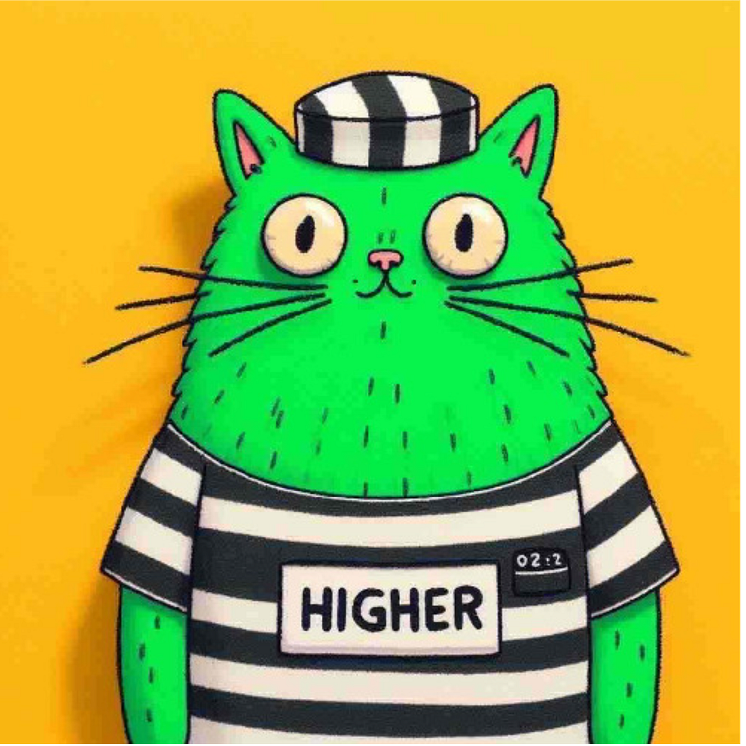 Higher Cat