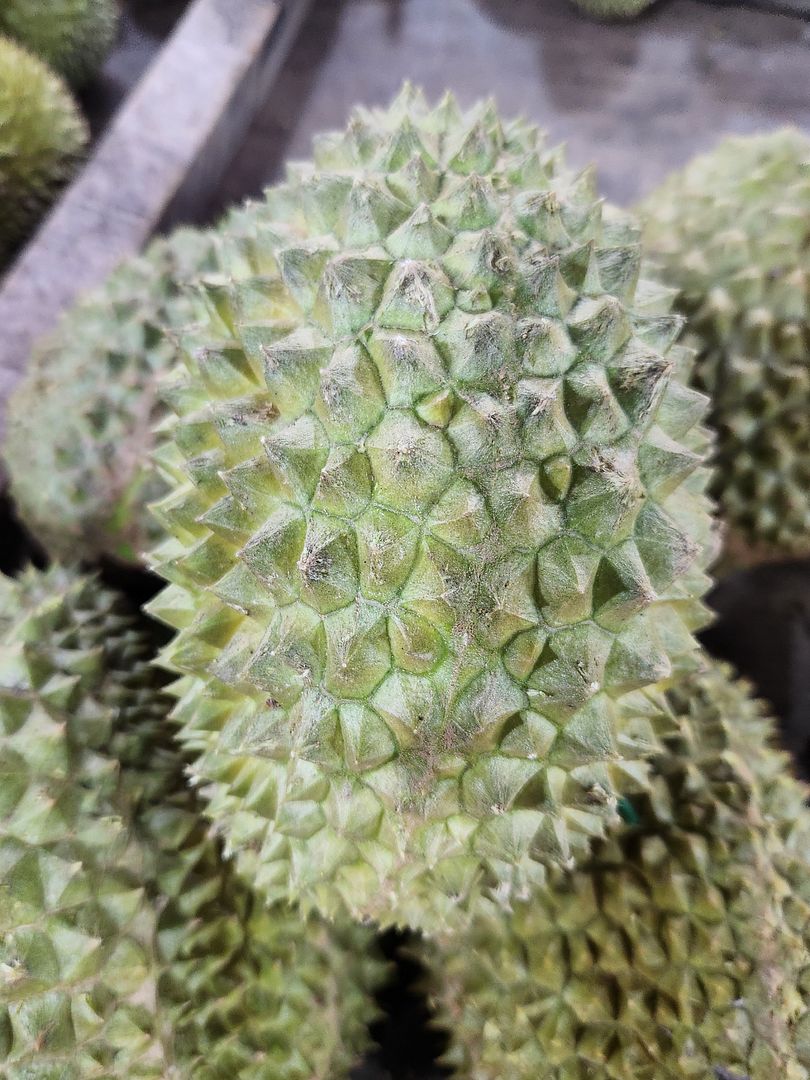 Durian