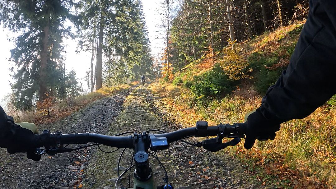 Forest bike