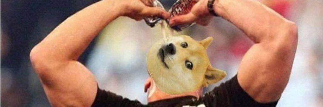 stone cold drunk uncle doge