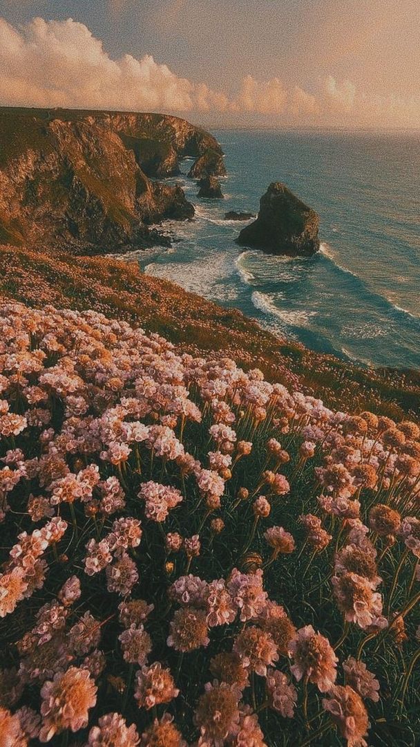 "Flower Coast"