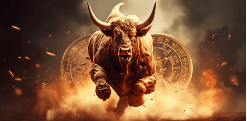 bull run