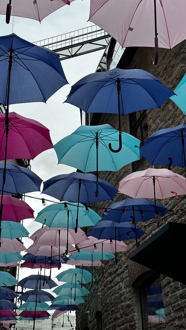 umbrellas against bad weather