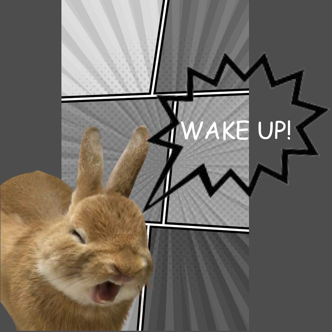 wake up!