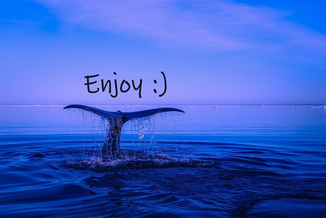 Enjoy Whale :)