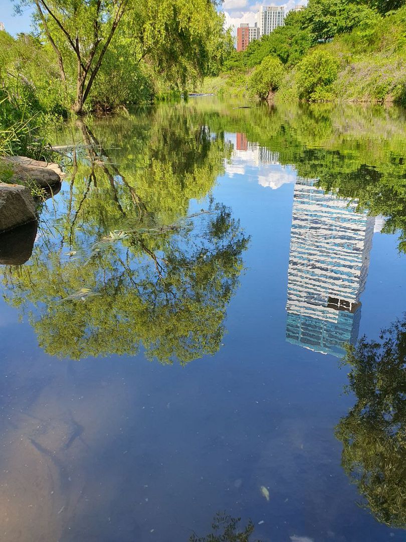 The world reflected in the river.