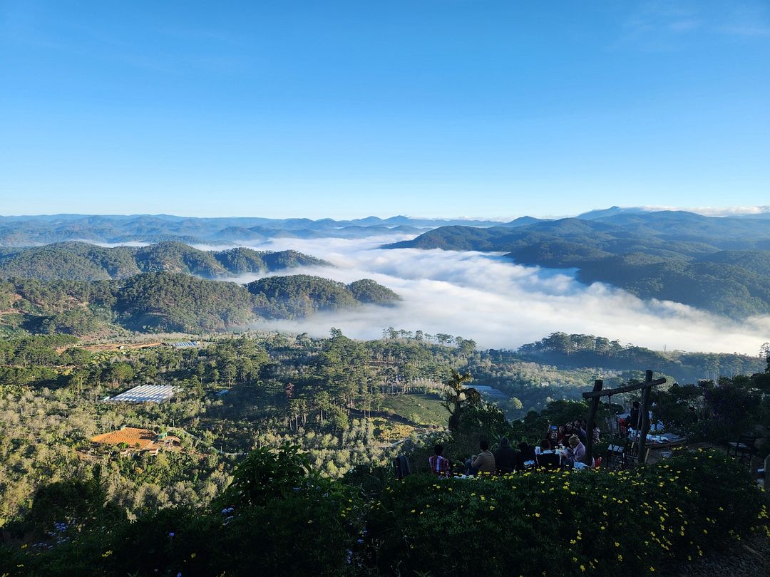 San mai in Da lat