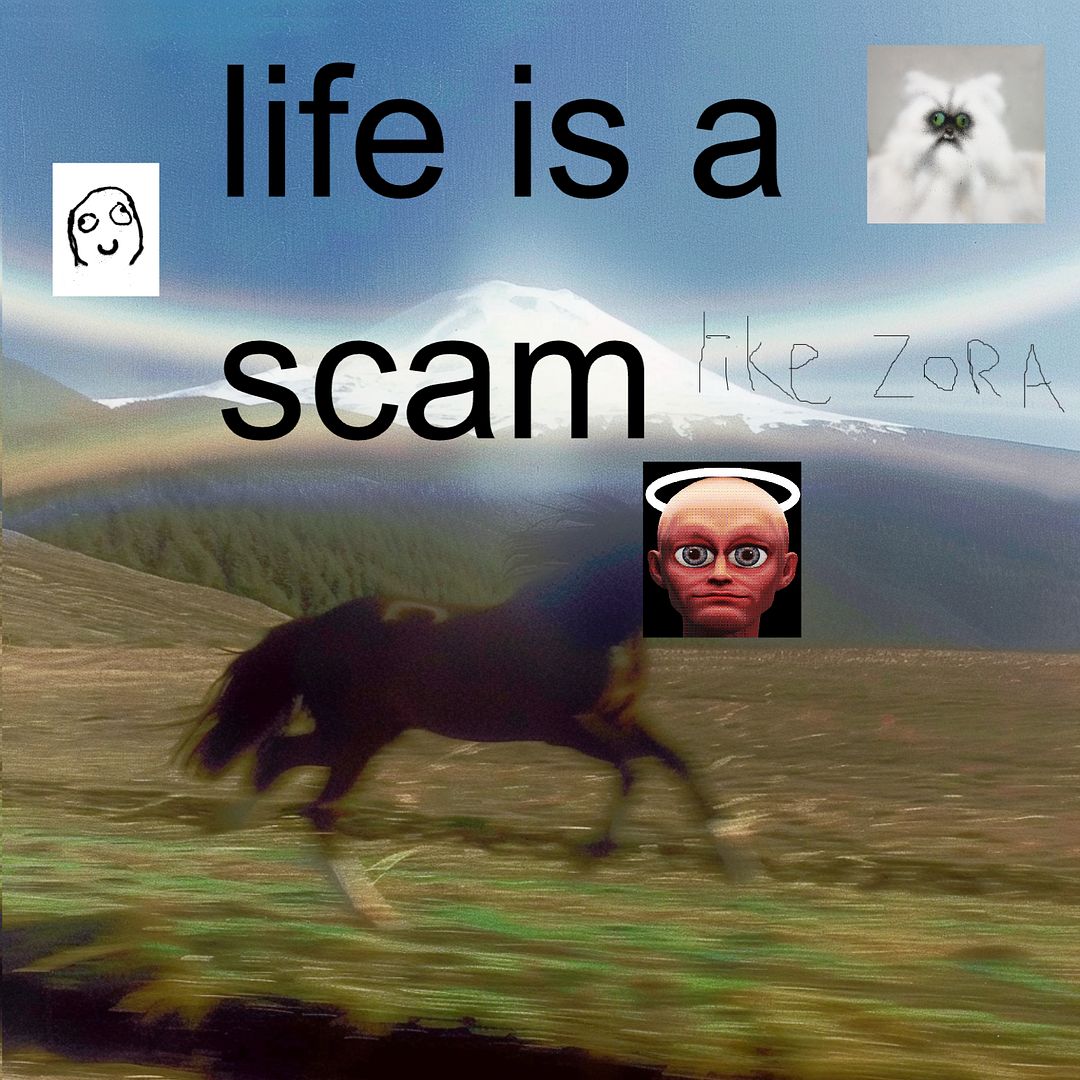 LIFE IS A SCAM