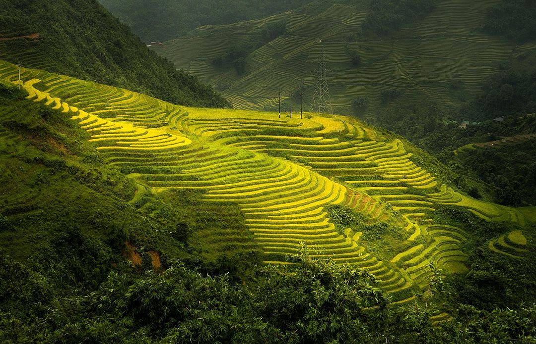 Nature Terraces