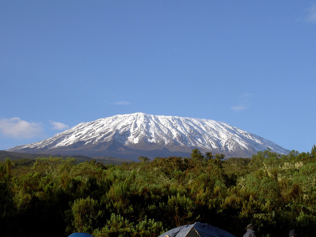 The Kili-manjaro