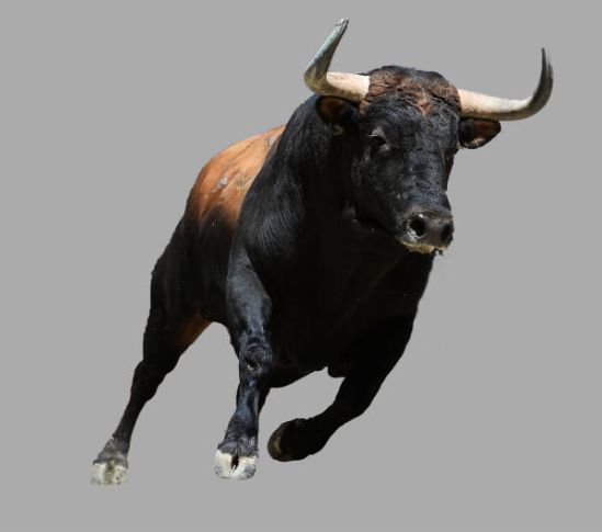 Bullrun is here