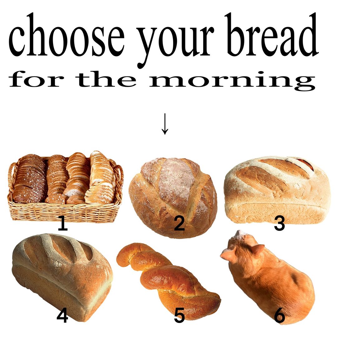 choose your bread for the morning