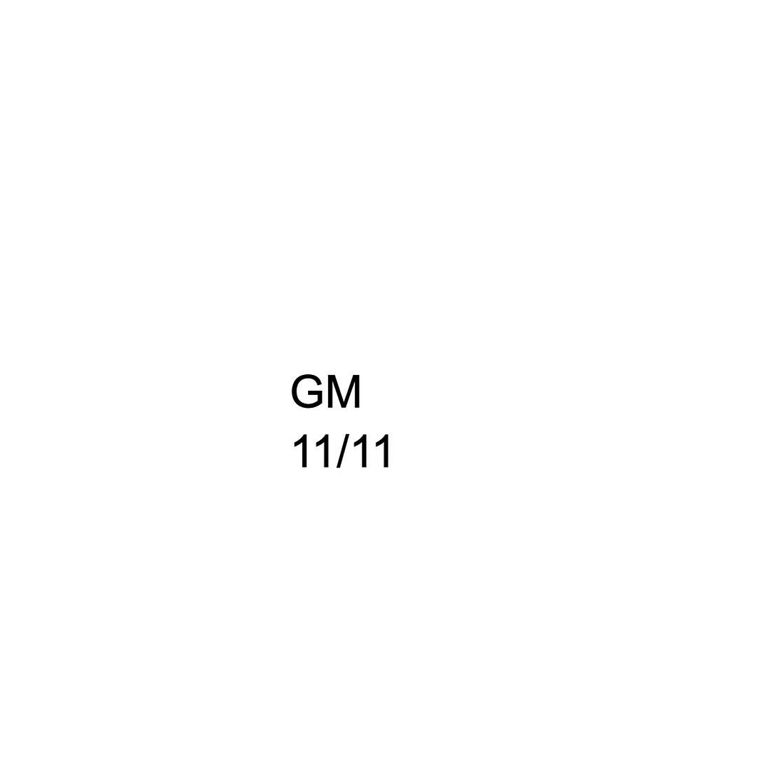 GM 11/11