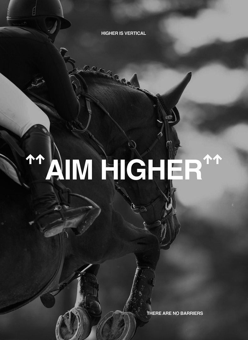 HIGHER-VERTICAL