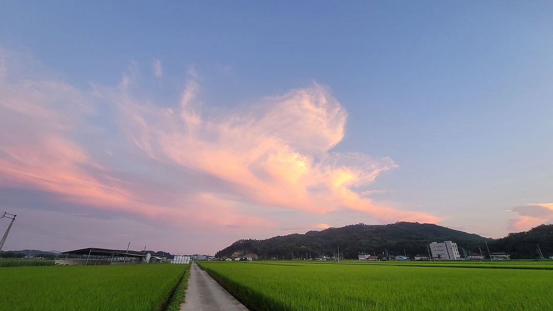 Wonderful sunset in Hamchang Field!  230819 Sangju, Gyeongsangbuk-do, Korea