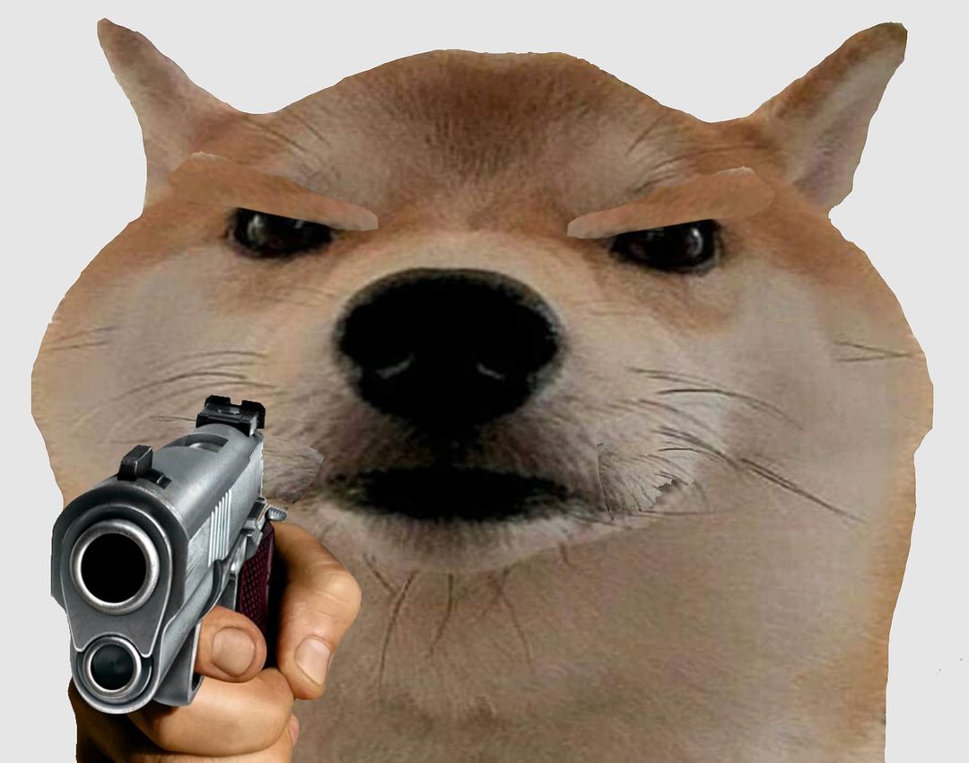 Doge Gun