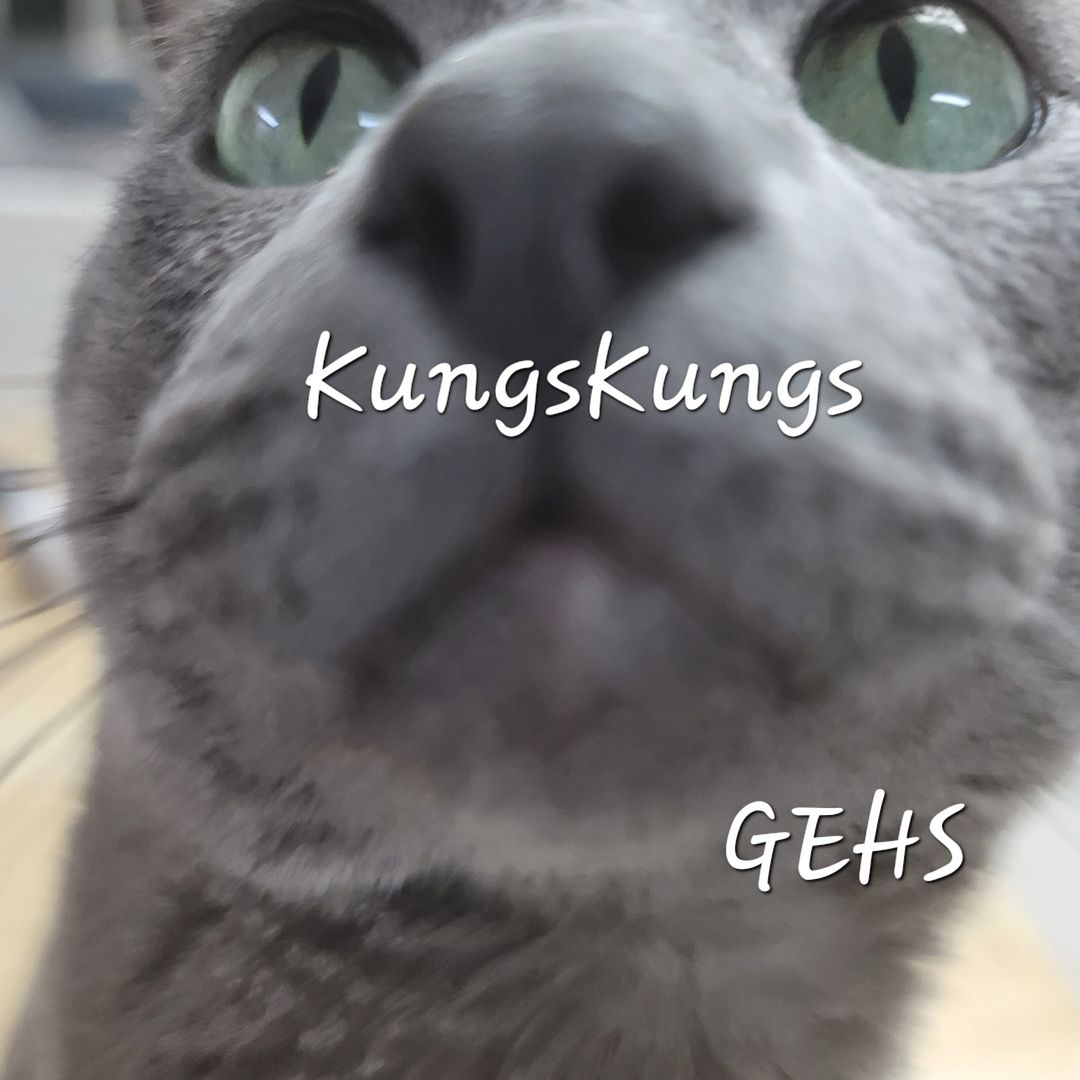 GEHS_KungsKungs