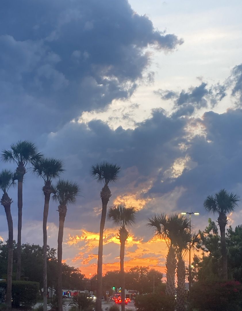 Florida skt