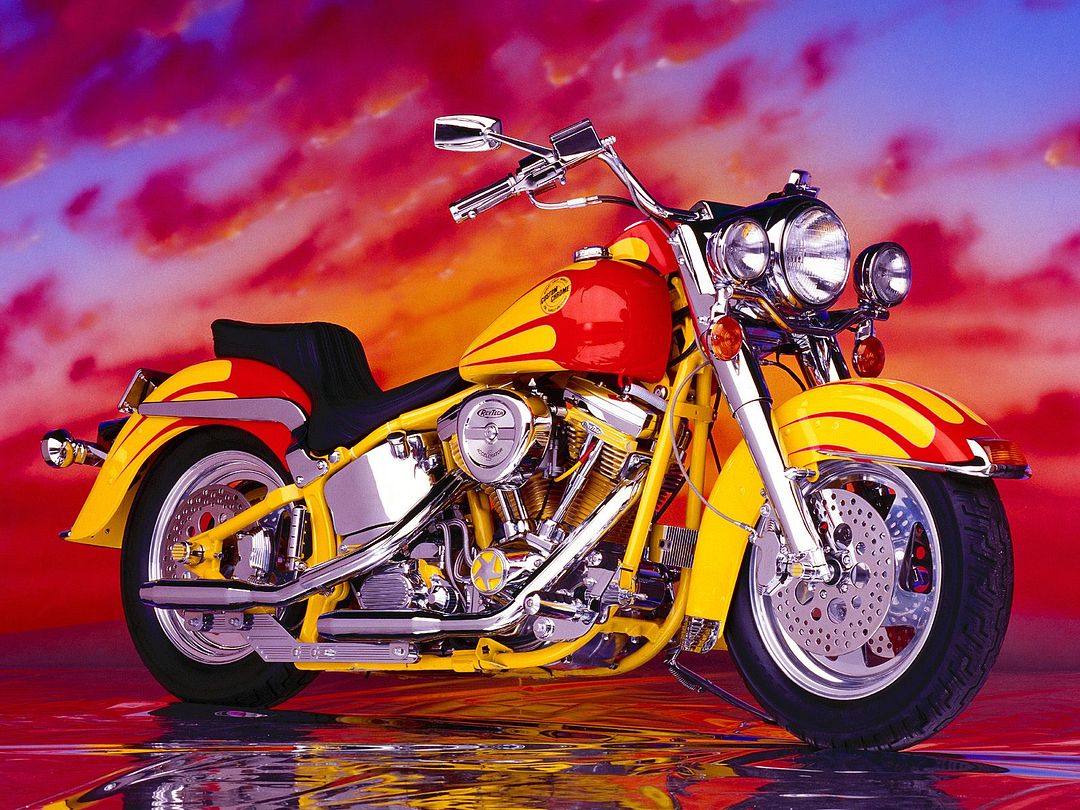 1986 Softail Custom