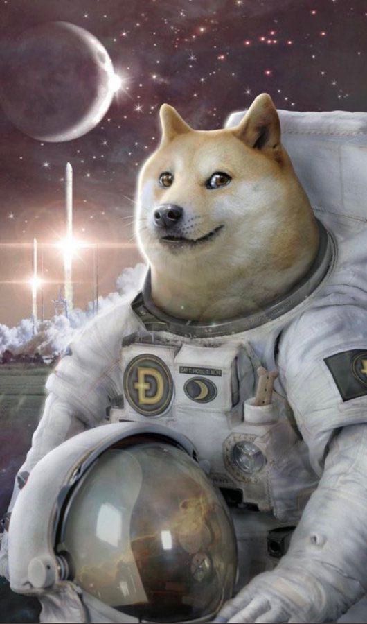 Doge to the moon !!!