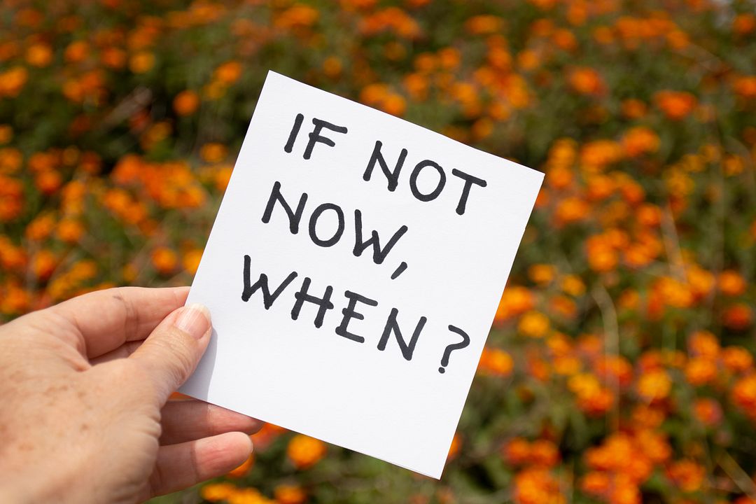 IF NOT NOW, WHEN