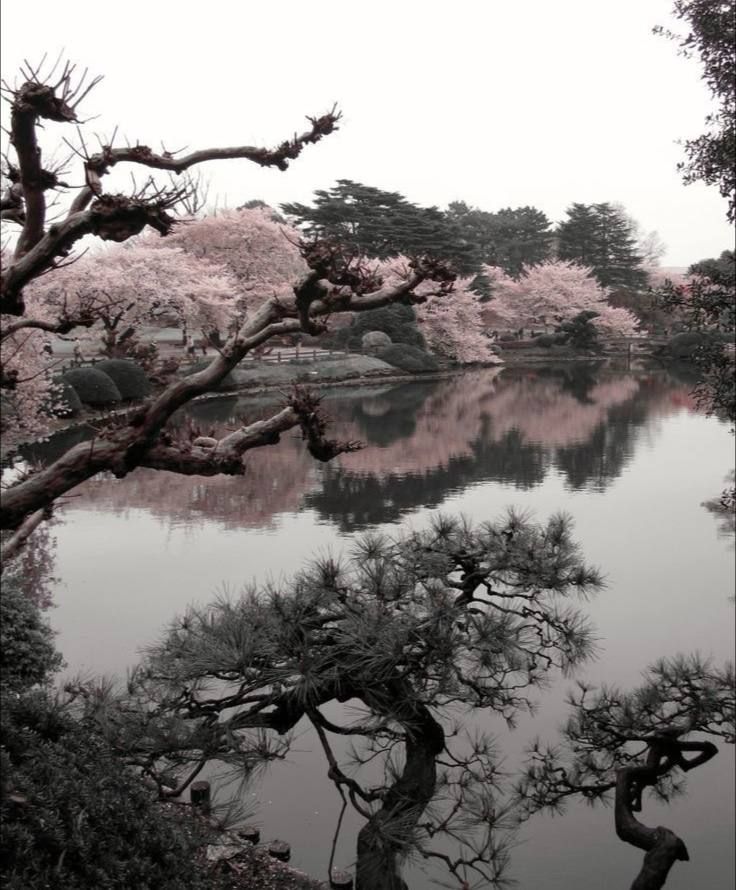 flowering trees