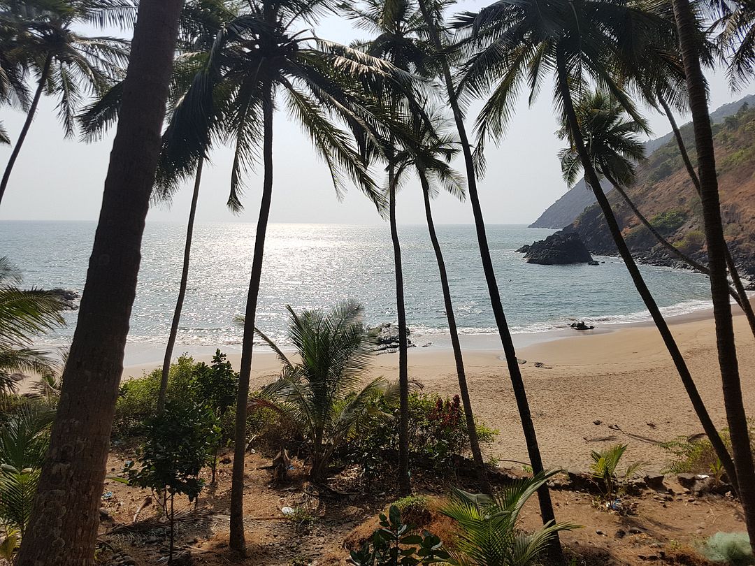 Palolem beach