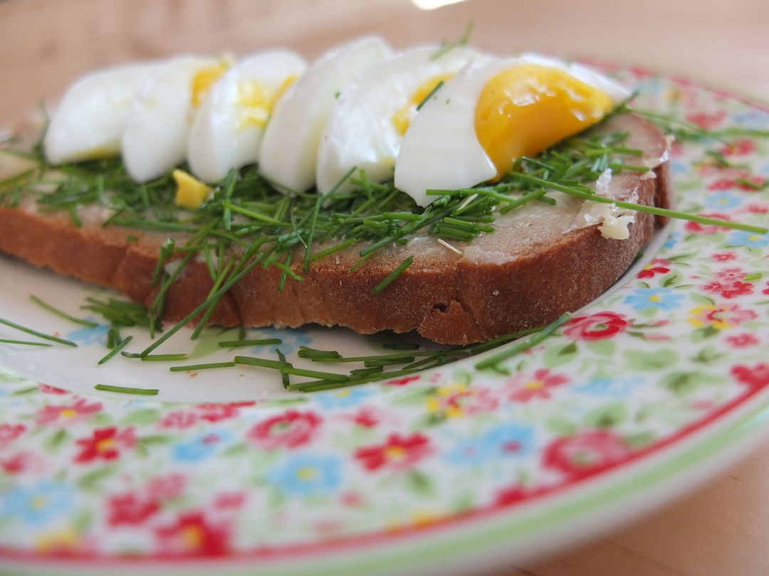 butterbrot mit Ei