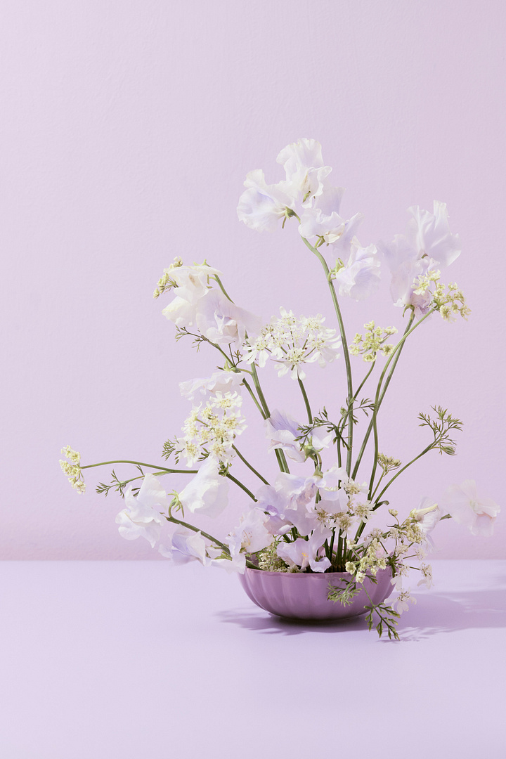 Sweet pea floral arrangement in front of a lilac colored backdrop.