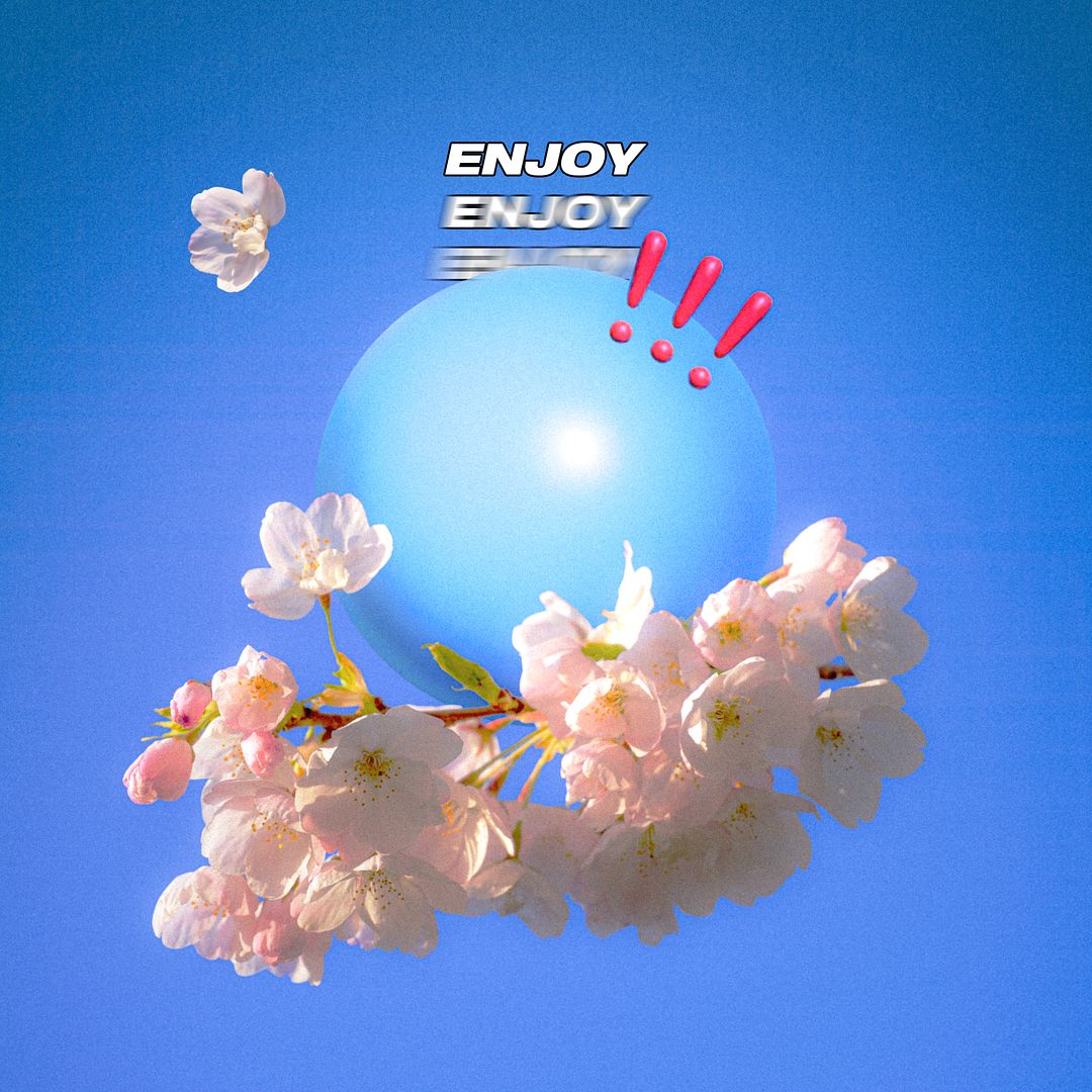 ENJOY Cherry blossom