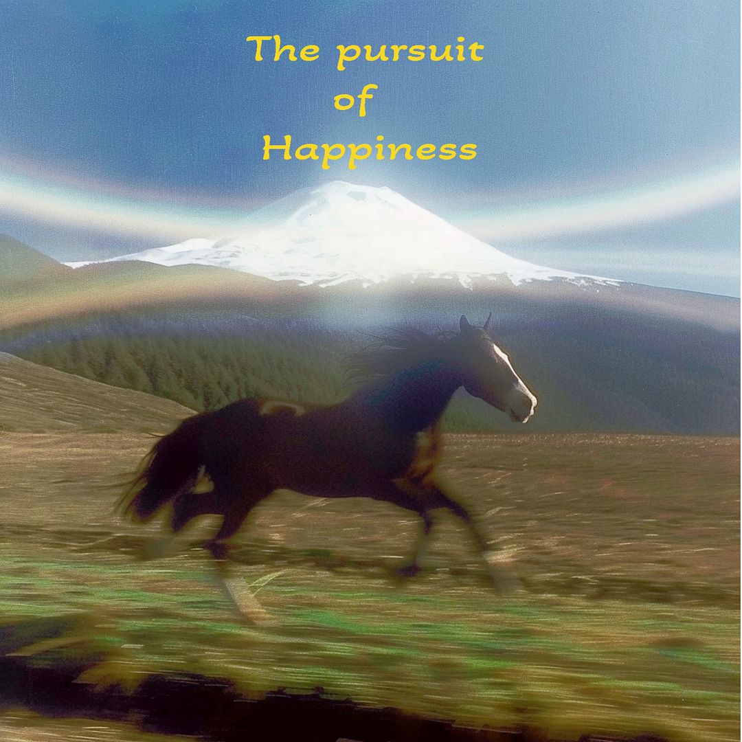 The pursuit of happiness