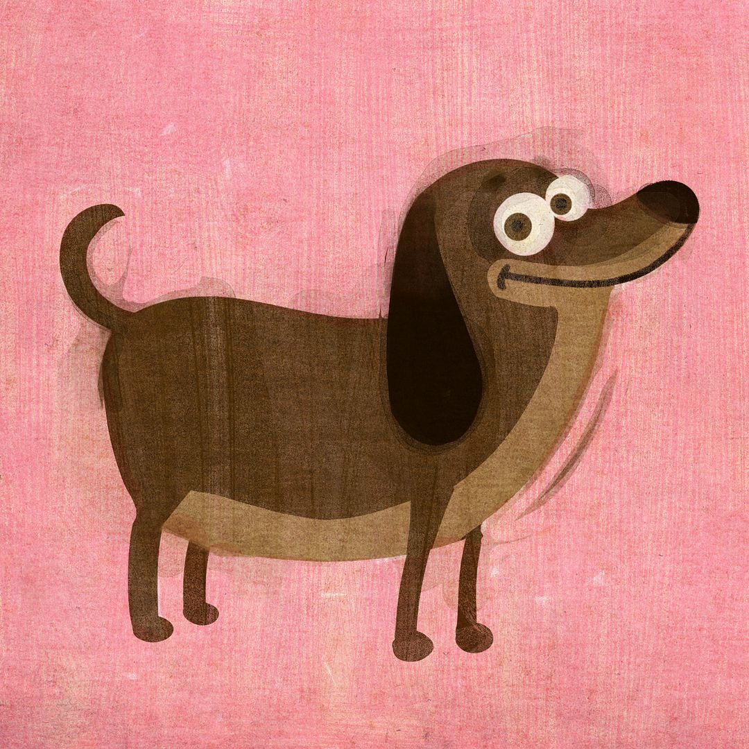 Dachshund