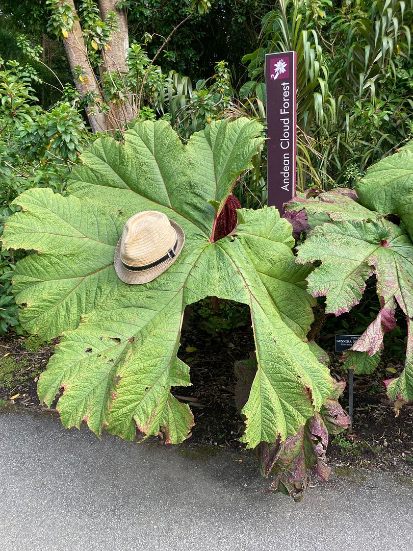 San Francisco botanical gardens