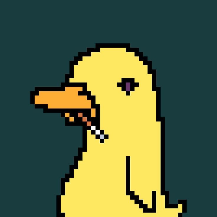 duck