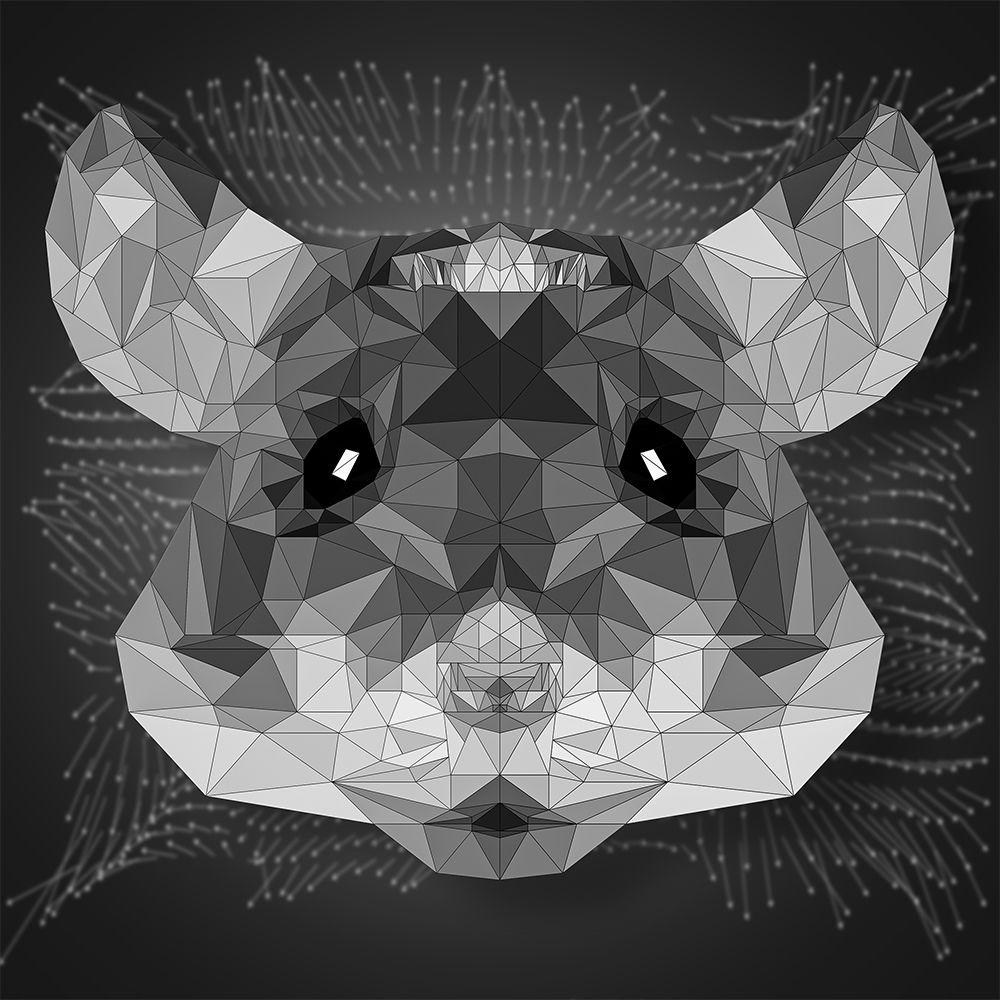 Geometric Mouse