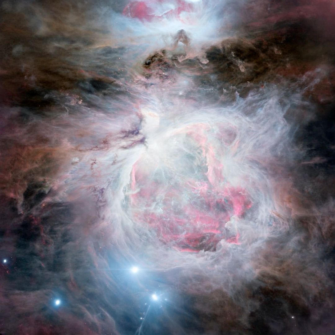 Journey into the Orion Nebula