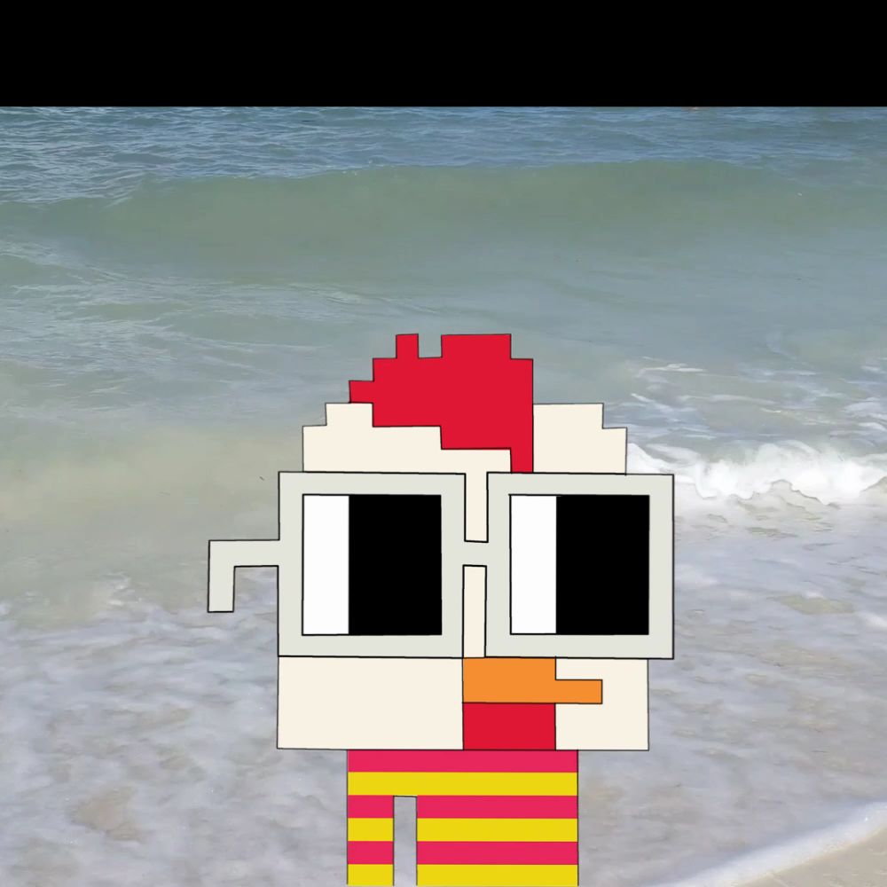 Cluckerfuss Jr. Visits the Ocean in Cayo Coco,Cuba