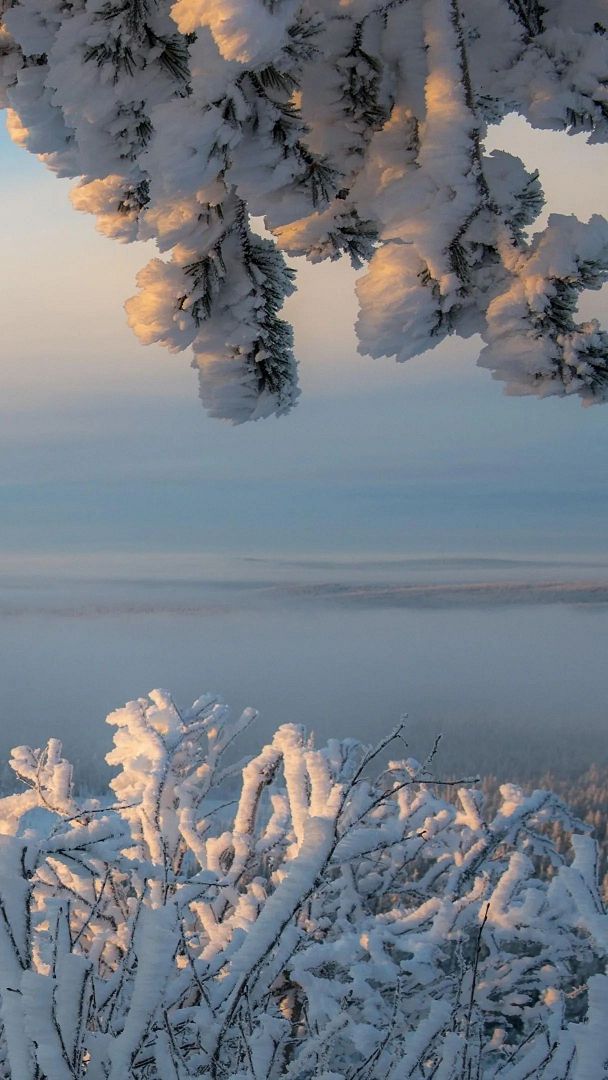 Snow in Finland 🇫🇮