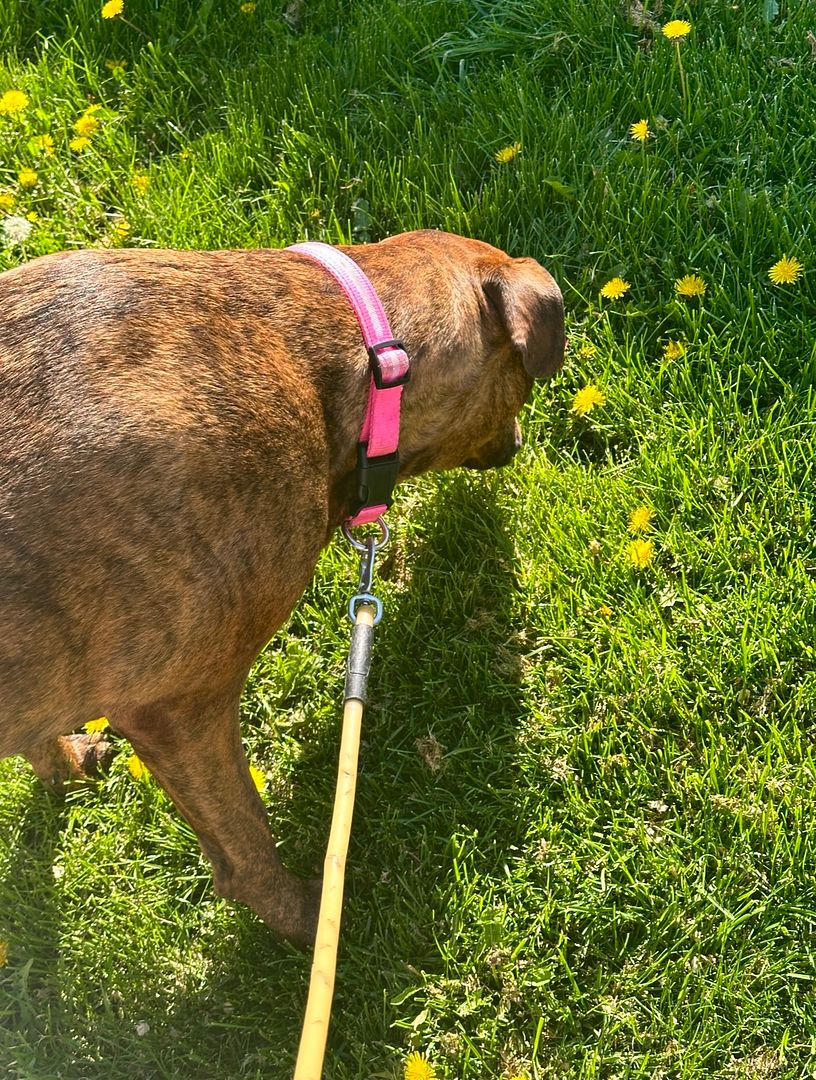 babygirl🌼