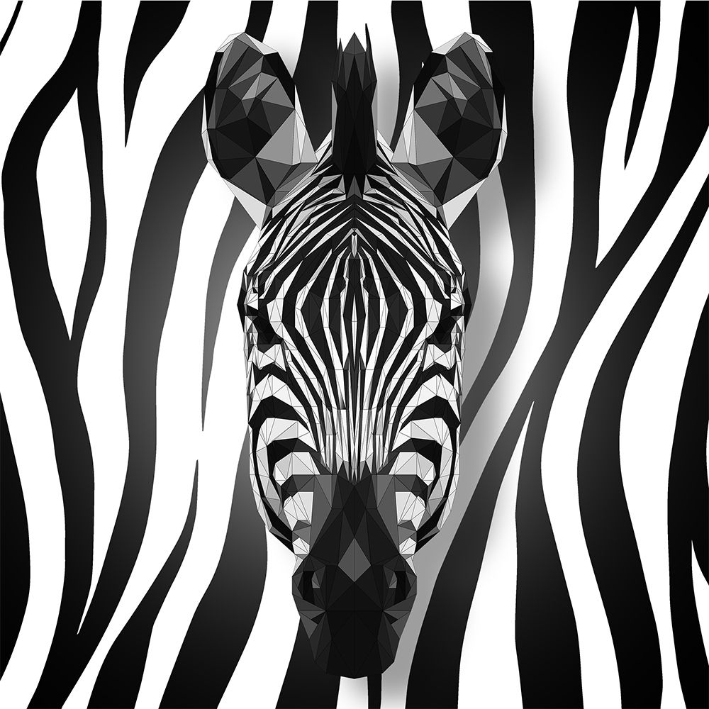 Geometric Zebra