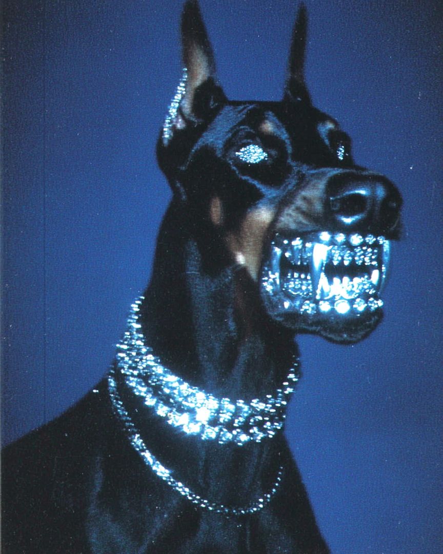 $GRILLZ