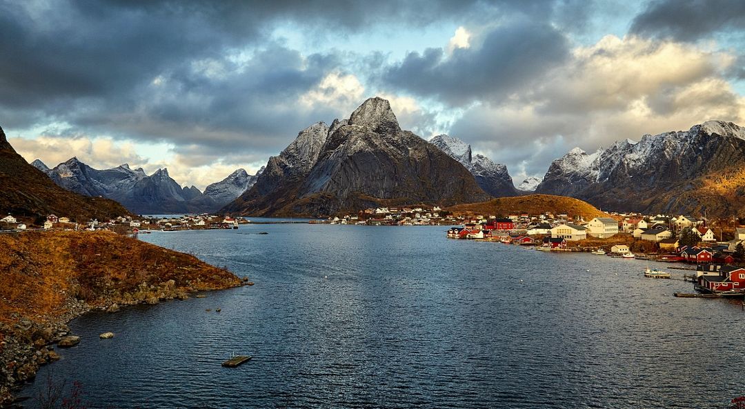 reine