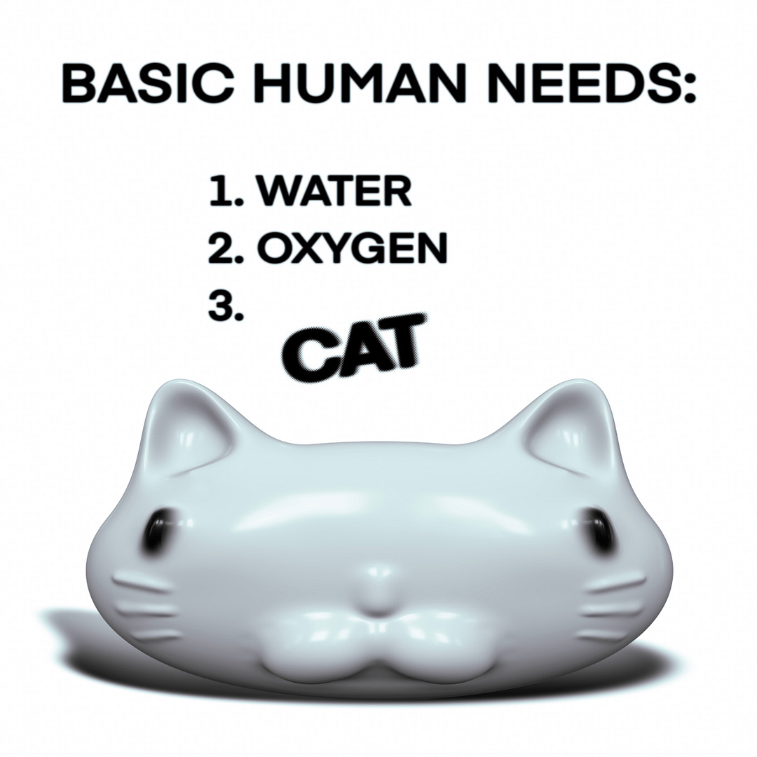 BASIC HUMAN NEEDS