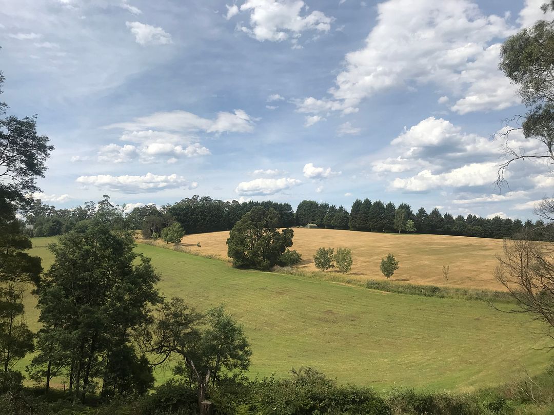 View from puffing billy in Melbourne